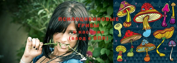 амф Алексеевка