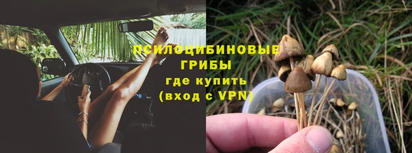 спайс Алексин